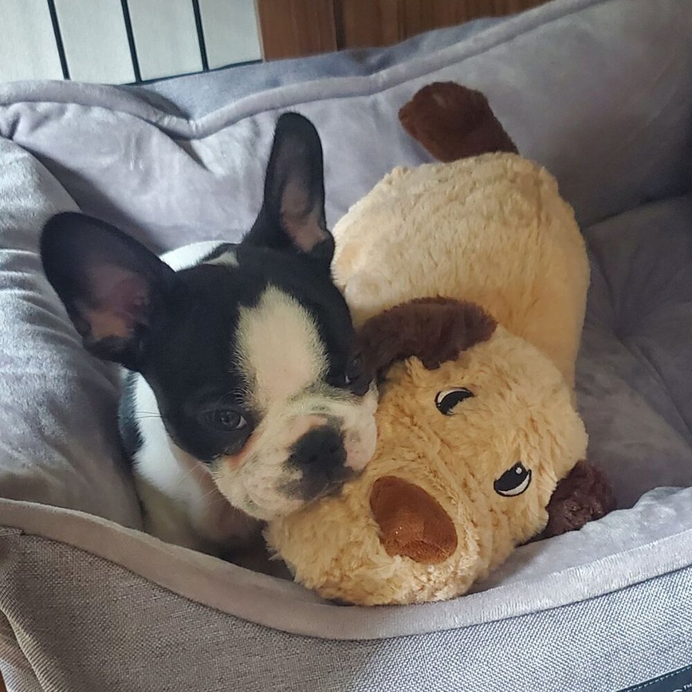 Meet your Posher, John